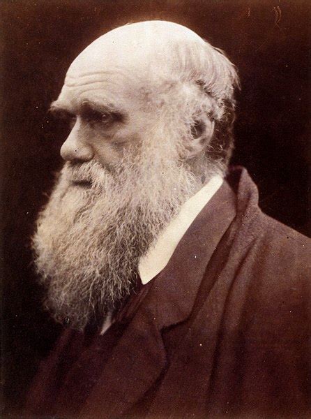 Darwin, Charles | Internet Encyclopedia of Philosophy