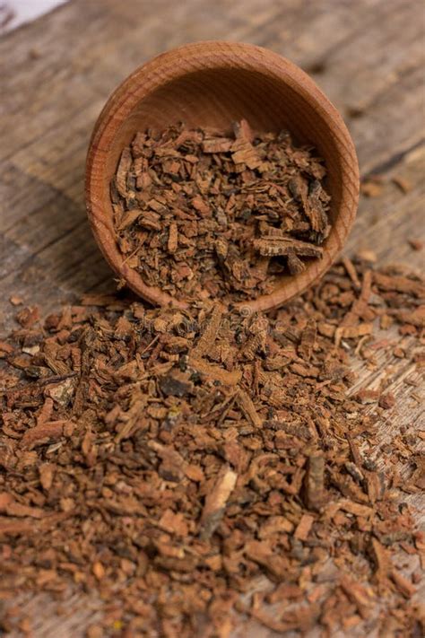 Oak Bark stock image. Image of chinese, herbal, brown - 93341741