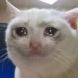 плачущий кот - Создать мем - Meme-arsenal.com