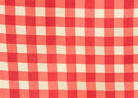 small check kathryn  ireland