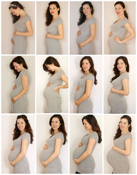 Evolution of a Belly | Baby bump progression, Pregnancy months