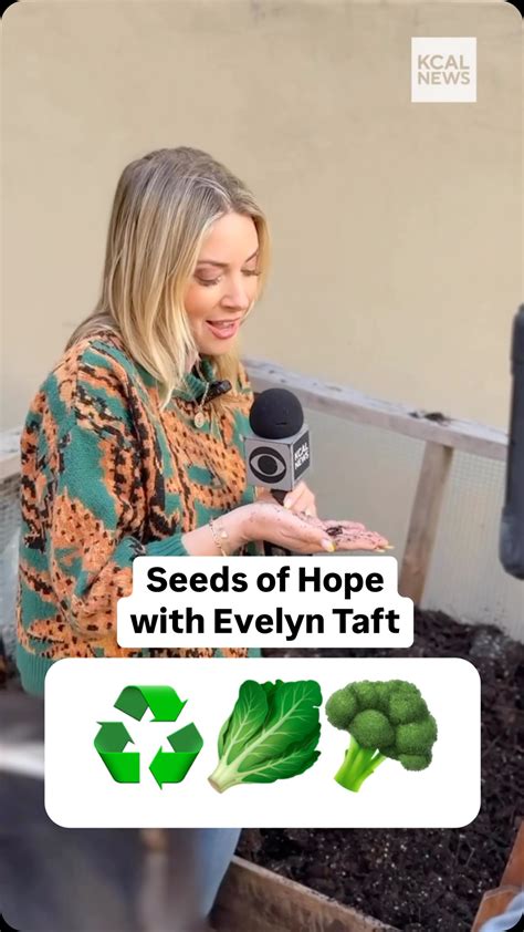 Evelyn Taft (@evelyn_taft) • Instagram photos and videos