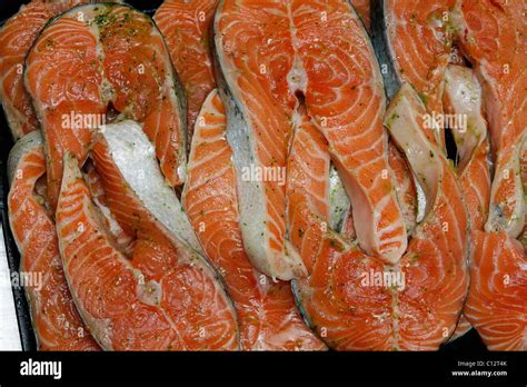 fresh seafood  res stock photography  images alamy