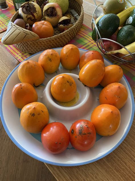 Persimmon harvest! : r/gardening