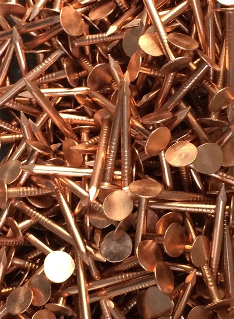 can copper nails kill a tree 1