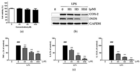 Kellie Everts Black And White