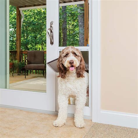 Heavy Duty Screen Door With Doggie Door at Sandra Madrigal blog