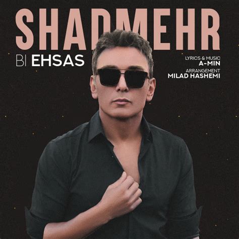 Bi Ehsas song by Shadmehr Aghili