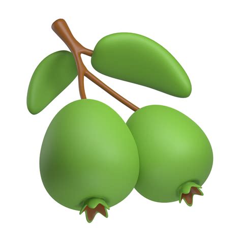 feijoa fruit  icon  png