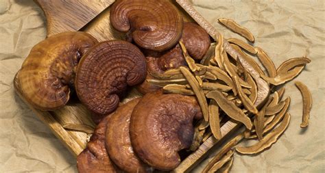 Health Benefits of The King of Mushroom - Lingzhi