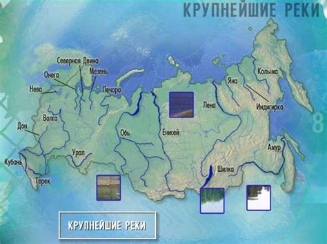 Реки России. Зависимость речной сети от рельефа и климата - презентация ...