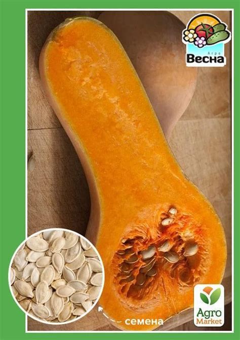 ТЫКВА АРАХИСОВОЕ МАСЛО (ВЕСНА), купить в Одессе, Киеве и Украине | Agro ...