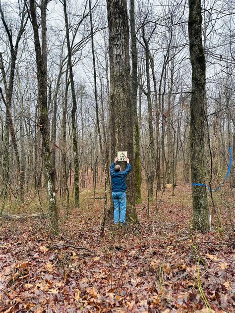 shady grove provides a peaceful escape for nature lovers nearby 13