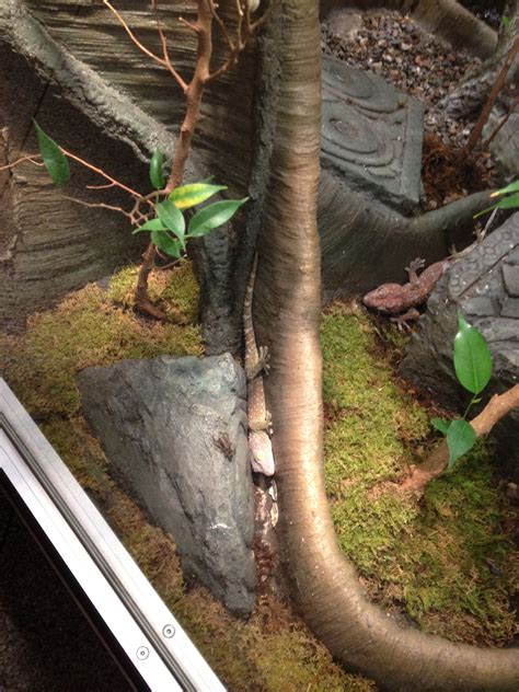 Museum of Science | Ashley Perez