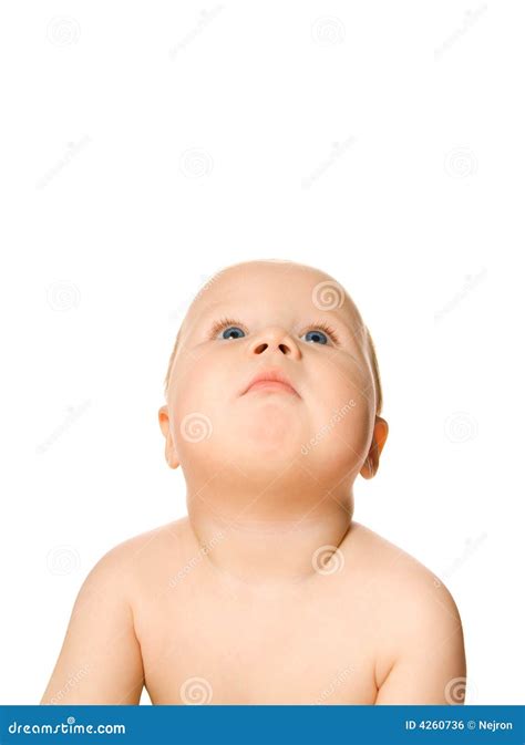 beautiful toddler stock photo image  small infant