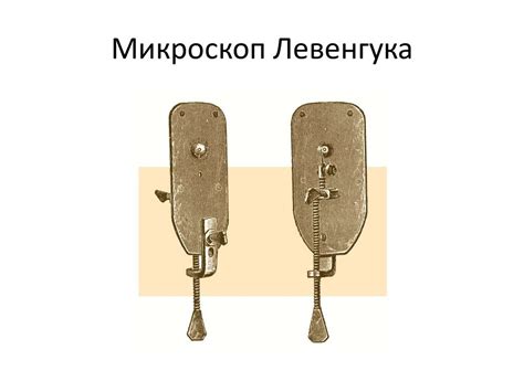 Морфология микроорганизмов - online presentation