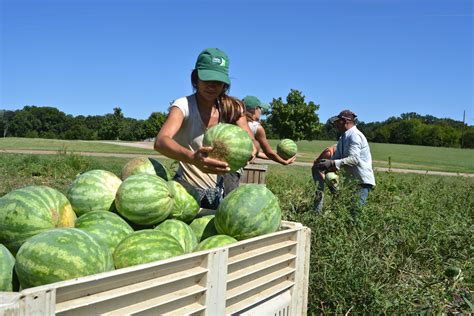 Melonfarmerswife Leaked Nude