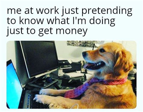 meme  watching rigged elections  march