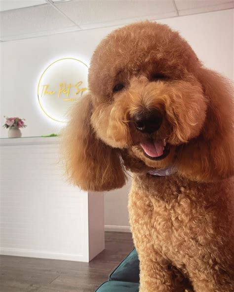 Bailey / Dallas (@bailey.dallas_) • Instagram photos and videos