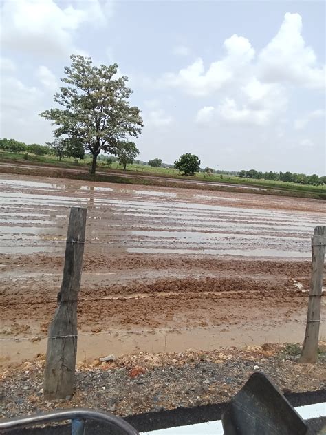 Duangduen Jitnuknan added a new photo. - Duangduen Jitnuknan