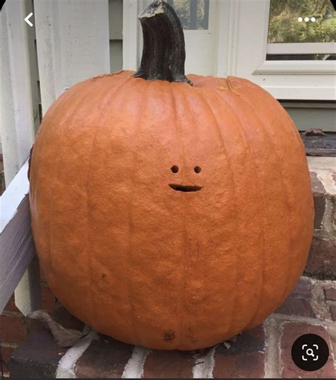 Pin by Jessica Blackwell on halloween | Pumpkin carving, Funny pumpkin