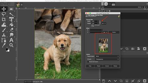 Getting Started with GIMP Photo Editing Software | Photoshop Alternative