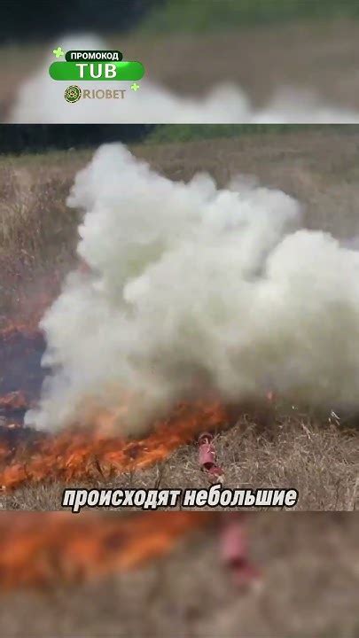 Динамит для защиты от лесных пожаров - YouTube