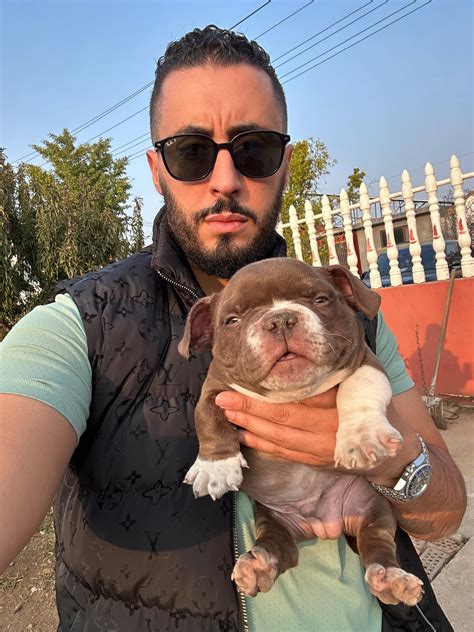 EXCLUSIVE: Australian couple call in police after paying a popular dog