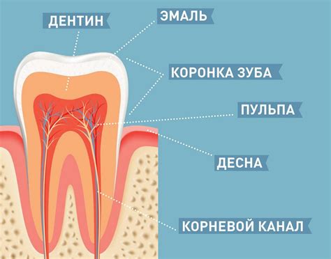 Причины появления чувствительности зубов после пломбирования