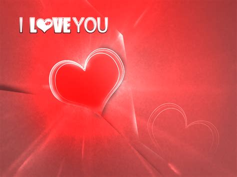 love  wallpaper backgrounds  wallpaperz