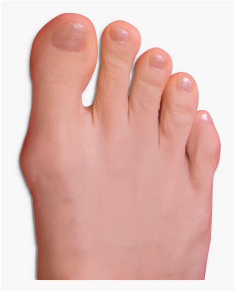 transparent toe png toe transparent png  transparent png