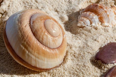 sands stock  images  backgrounds