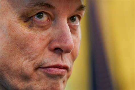 Brigado com Trump, Musk anuncia criação de 'Partido da América' | G1