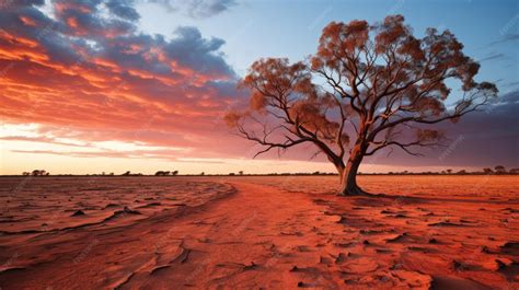 premium ai image australian outback sunset