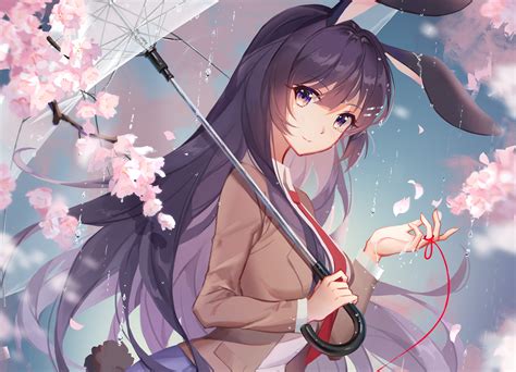 4K, Seishun Buta Yarō wa Bunny Girl-senpai no Yume wo Minai, picture-in