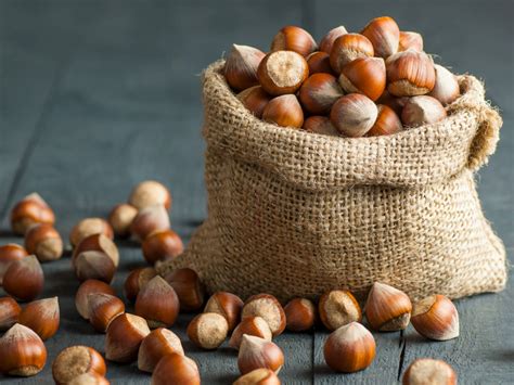 Nut Definition Examples Britannica, 47% OFF