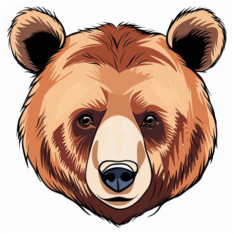 cute bear face  white background illustration  vector art  vecteezy