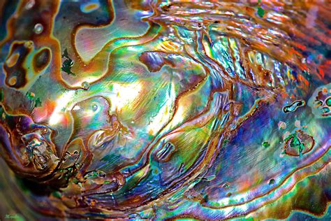 Nacre by FallOut99 on DeviantArt | Fractal art, Art, Art for art sake