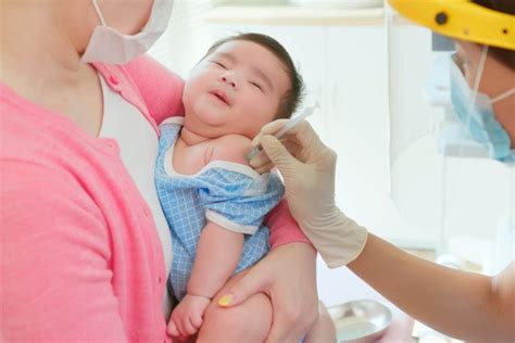 nicu   neonatal intensive care unit nursepective
