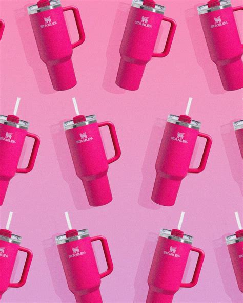 Why a New Stanley Cup Is Causing a Frenzy at Target | TIME