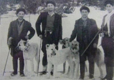 Kangal history – haskangal