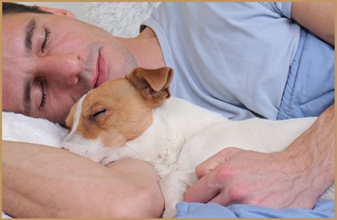 Spanie z psem, czy spanie z psem jest zdrowe? - PLANTPUR - SLEEP RELIEF