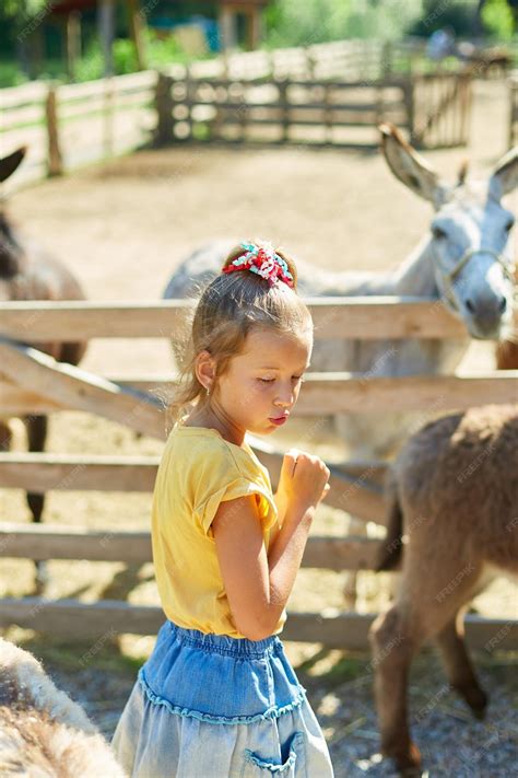Premium Photo | Little girl in contact farm zoo with donkeys in the