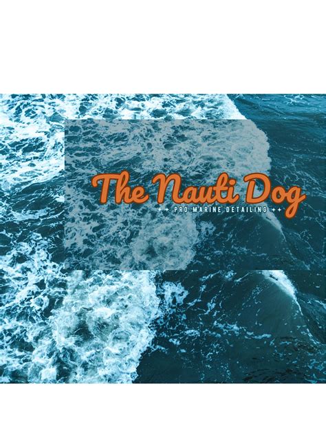 Nauti Dog Marine Detailing | Trenton MI