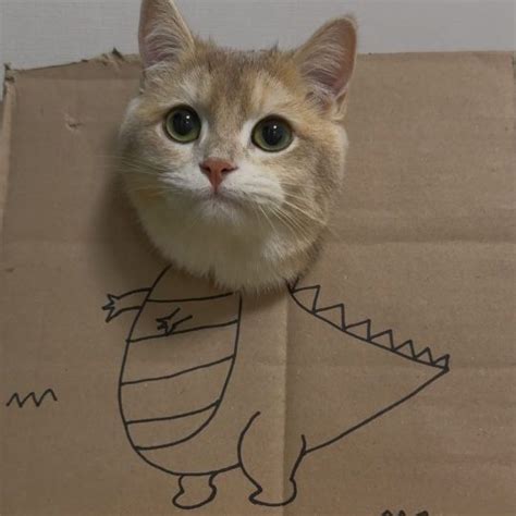 I love you on Tumblr