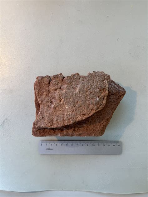 Possible Dinosaur Footprint? Found in Moenave Formation, Arizona