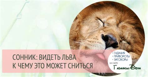 Сонник: лев