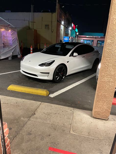 She looks hot in that swimming suit 🔥 : r/Acronopia