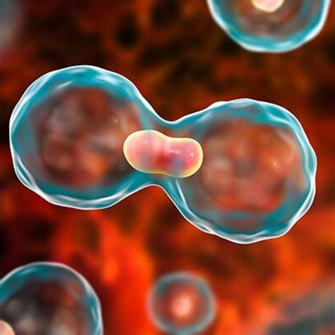 cancer rates kaggle
