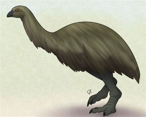 anomalopteryx didiformis prehistoric animals forest habitat extinct